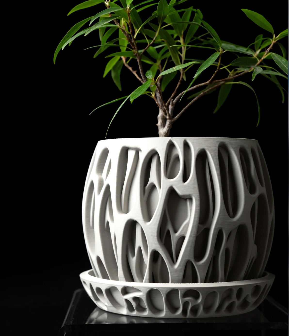 Modern Tasarım Saksı